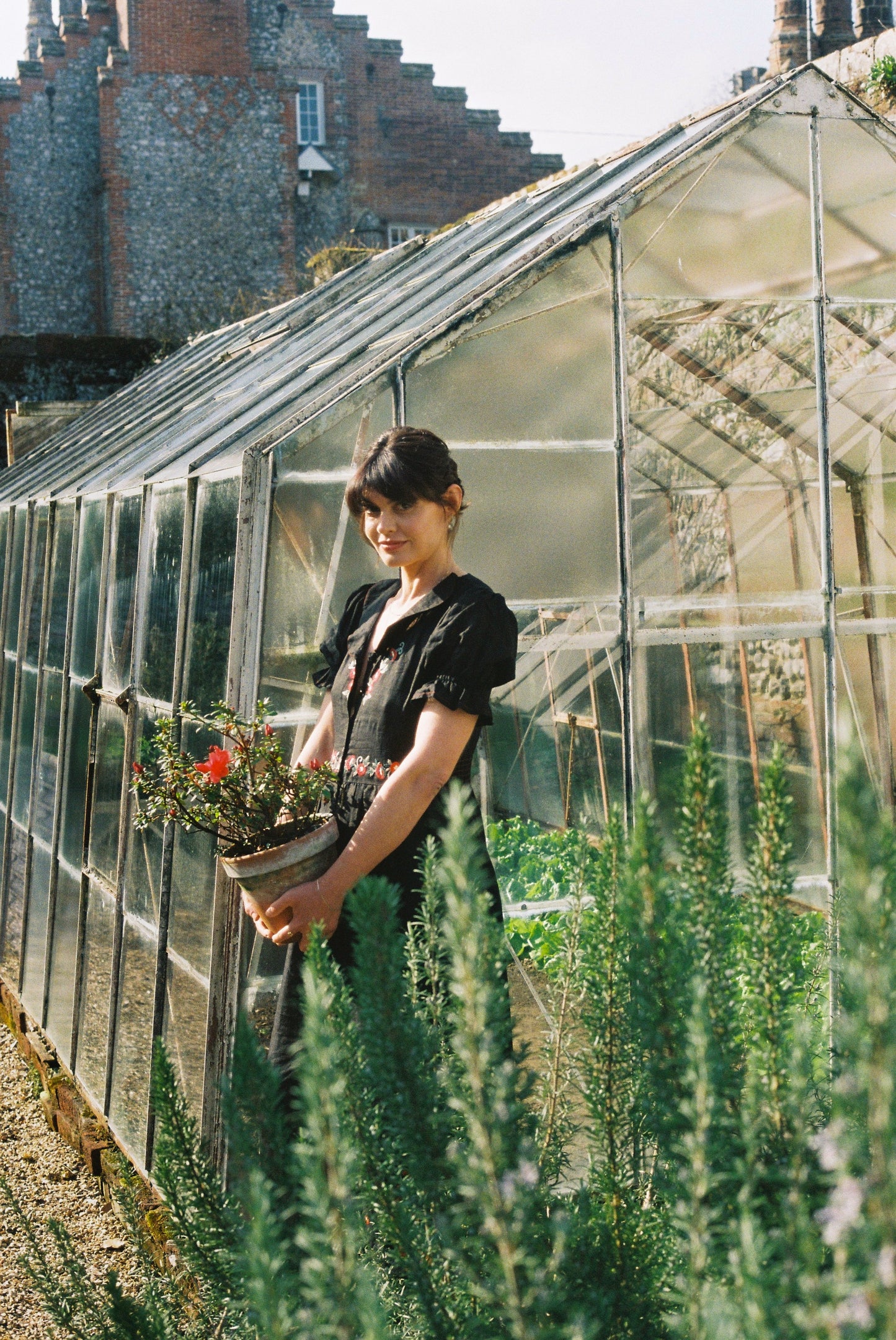 Rosea Hollyhock Dress