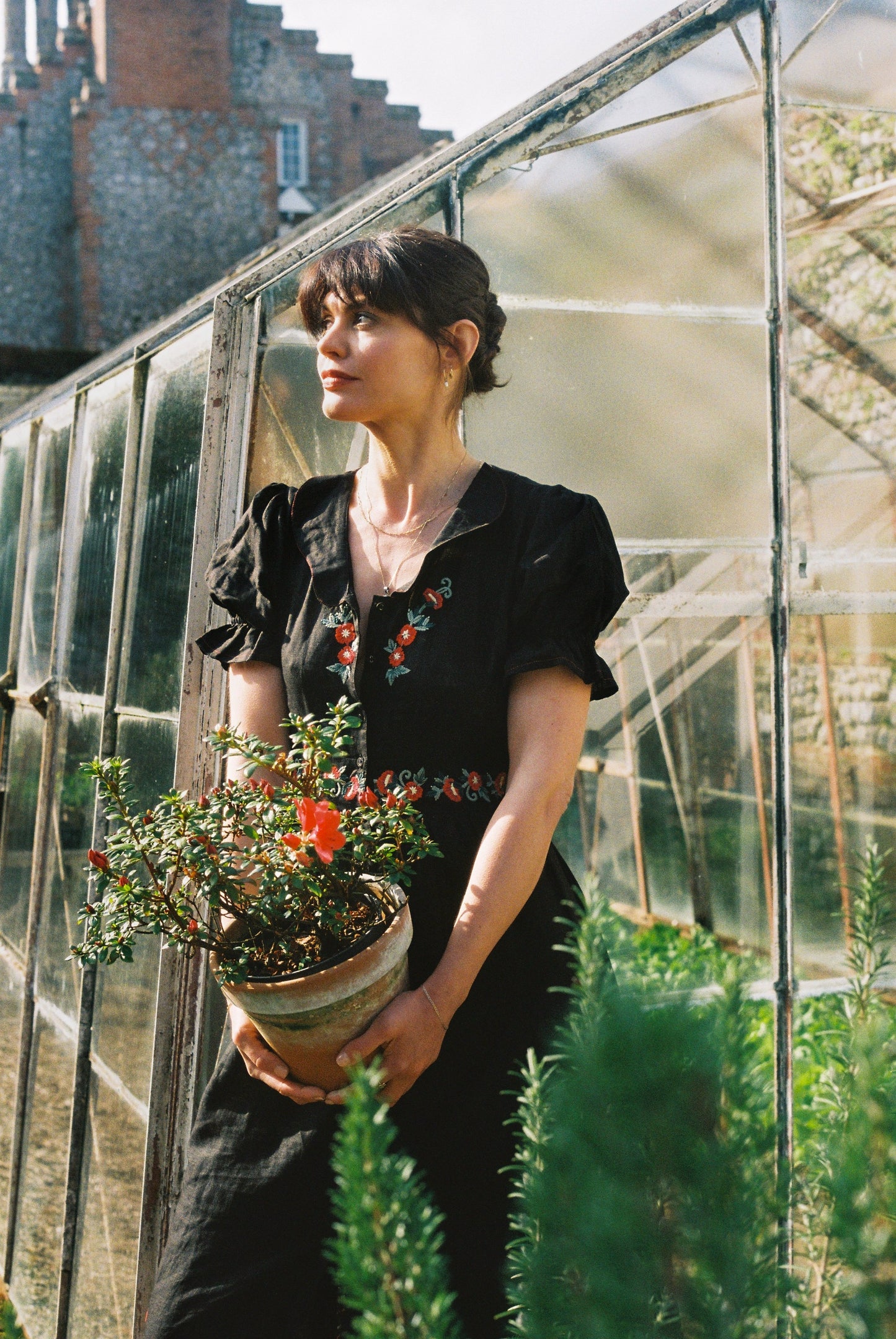 Rosea Hollyhock Dress