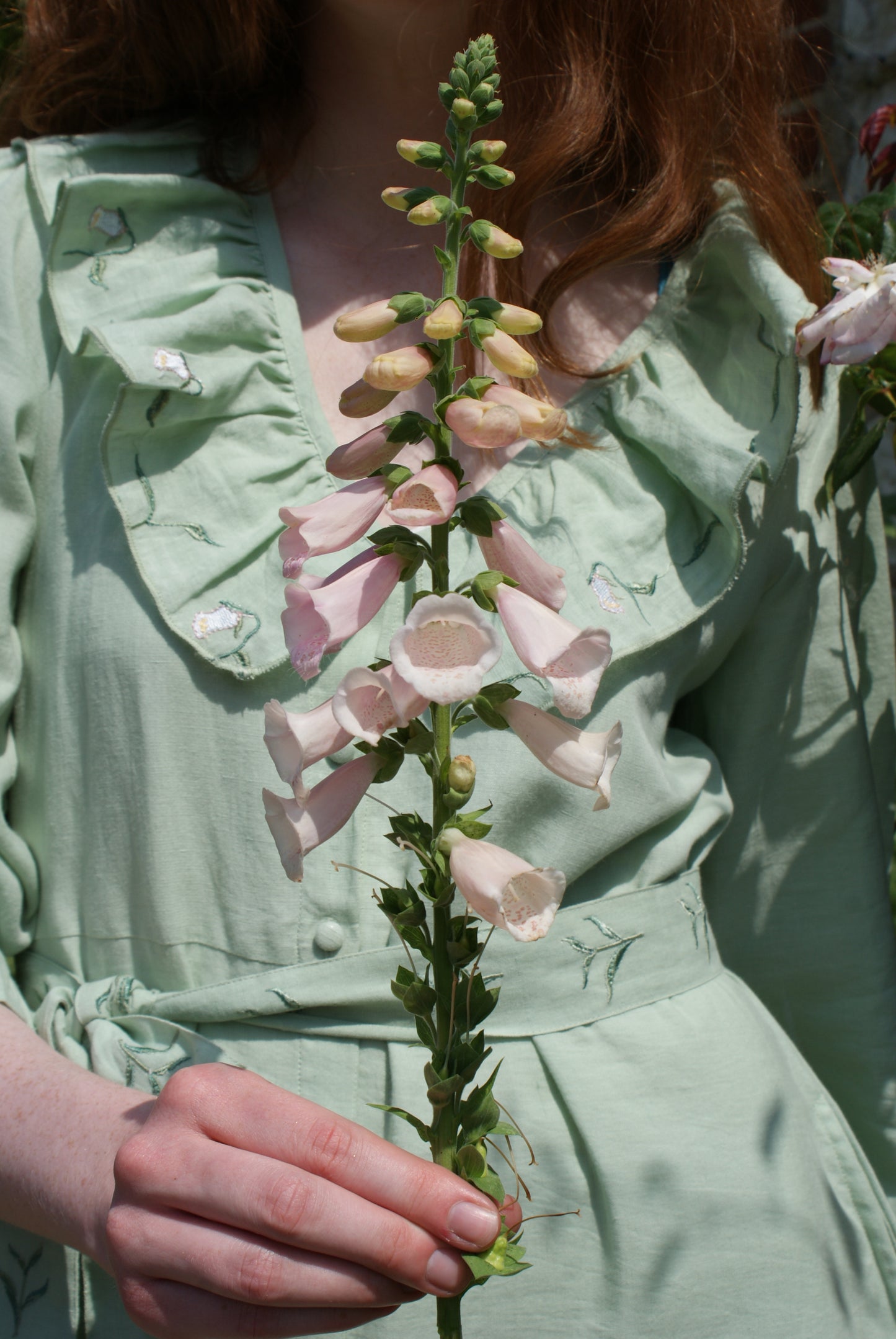 Foxglove Dress